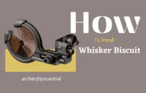 How to Install a whisker biscuit