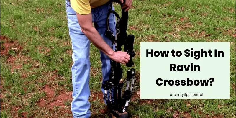 How to sight in Ravin crossbow