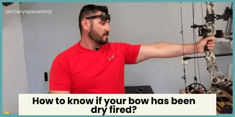 How To tell if your Bow has been Dry fired? (Inspection Tips)