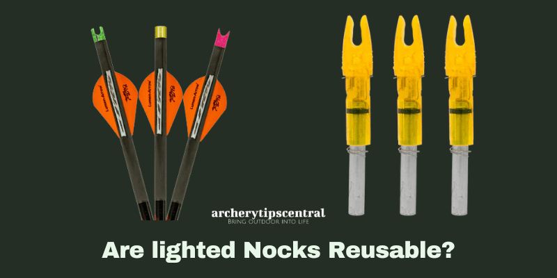 Are lighted nocks reusable-min