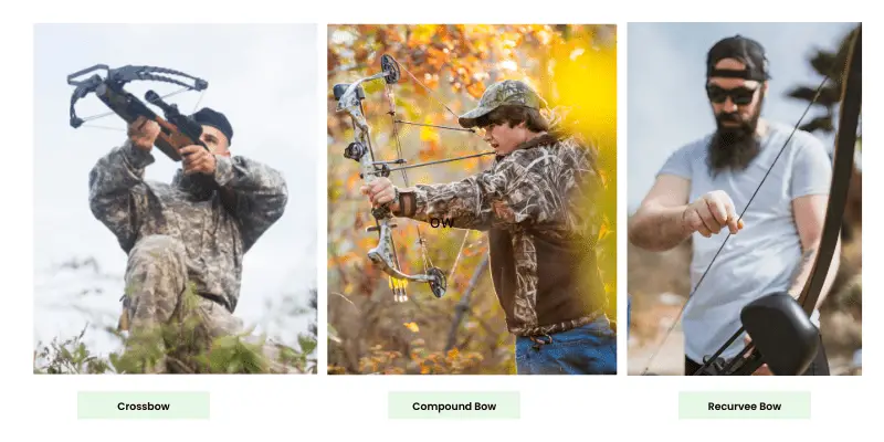 Crossbow vs compound bow vs recurve bow