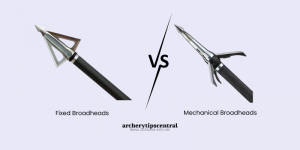Fixed vs mechanical broadheads