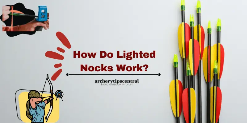 How Do Lighted Nocks Work? (Nuts and Bolts)