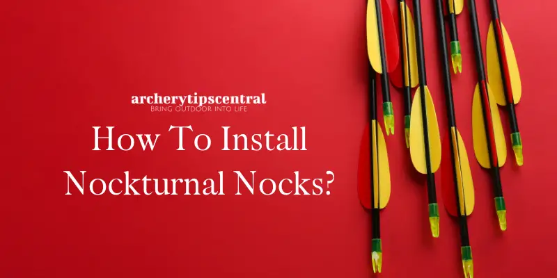 How To Install Nockturnal Nocks? (Simple Guide)