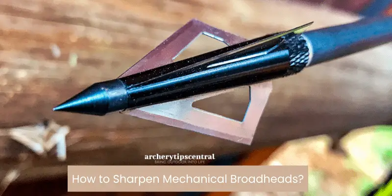 How to Sharpen Mechanical Broadheads: A Simple Guide