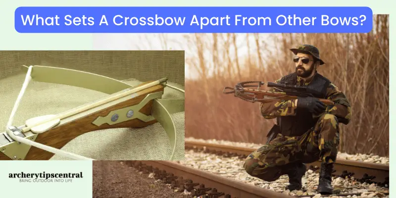 What Sets A Crossbow Apart From Other Bows