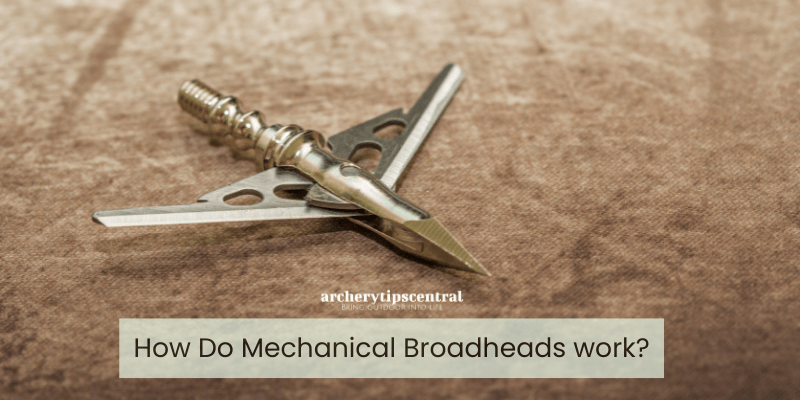 how do mechanical broadheads work