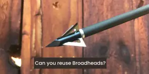 Can you reuse Broadheads