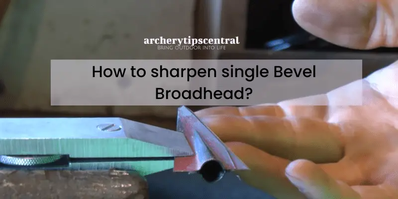 How to sharpen single Bevel Broadhead