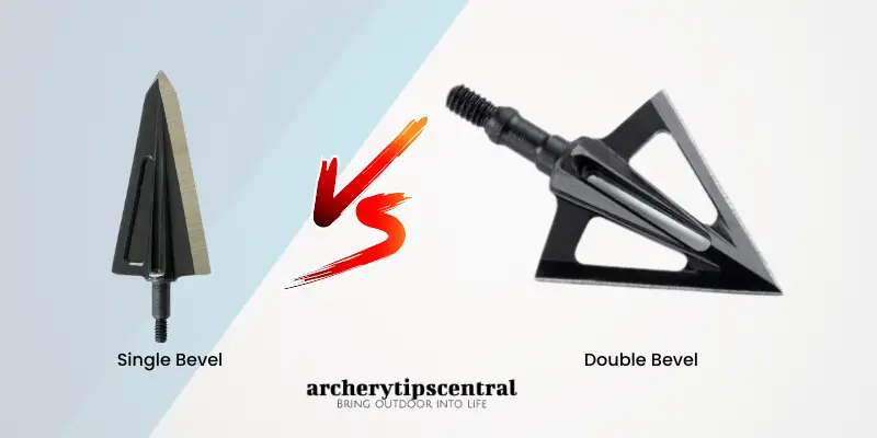 Single Bevel Vs Double Bevel Broadheads: Which Is Better?