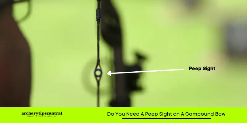 Do You Need A Peep Sight on A Compound Bow