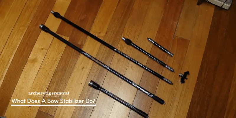 What Does A Bow Stabilizer Do?
